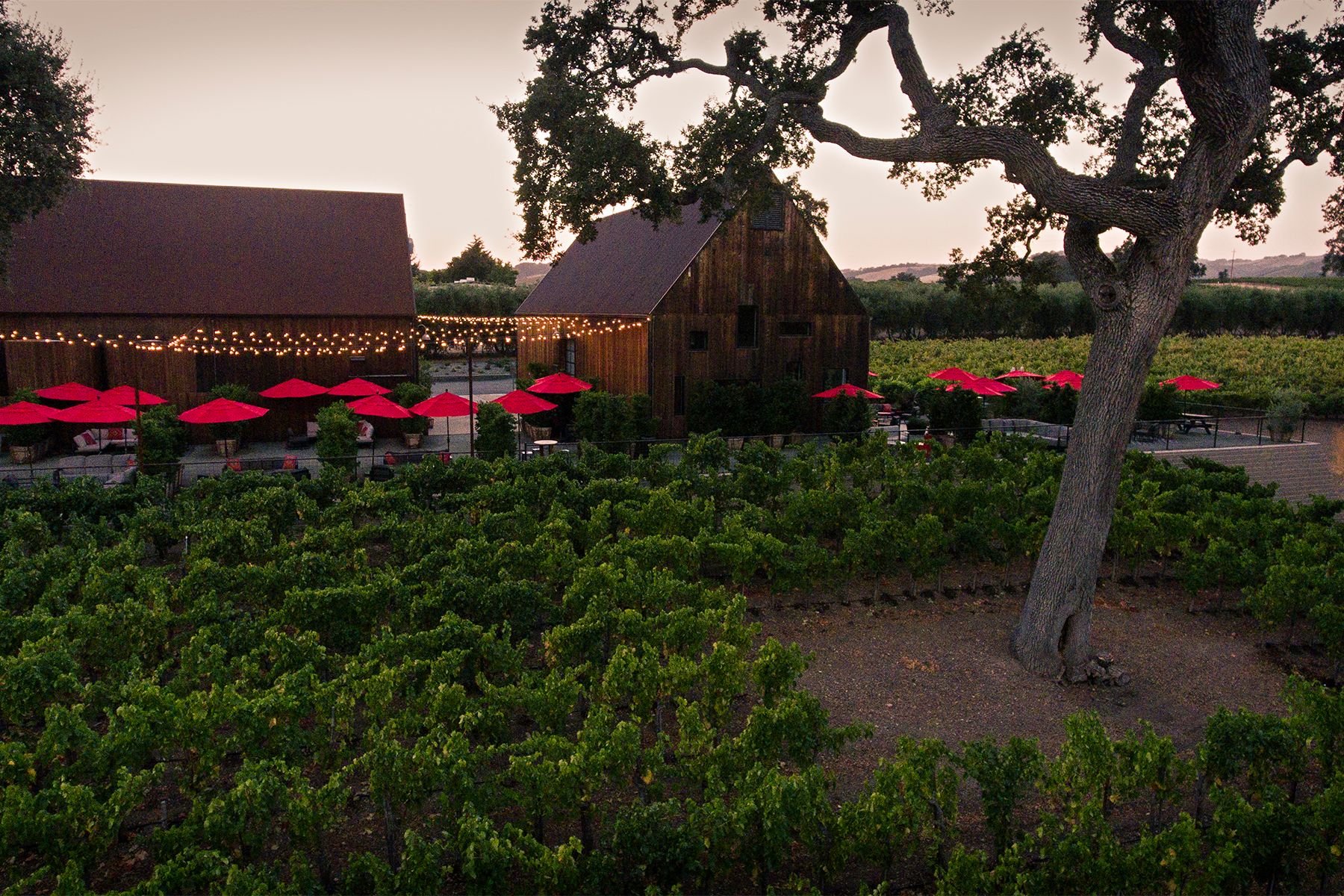 The Farmer’s Way- A Celebration of Sustainability at the Austin Hope Tasting Cellar