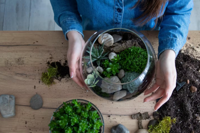 Terrarium Crafting: Create Living Art with Crafted at Appellation