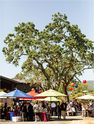 Lasseter Family Winery’s 20th Vintage Celebration