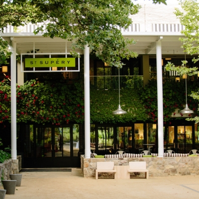 Member for a Day at St. Supéry Estate