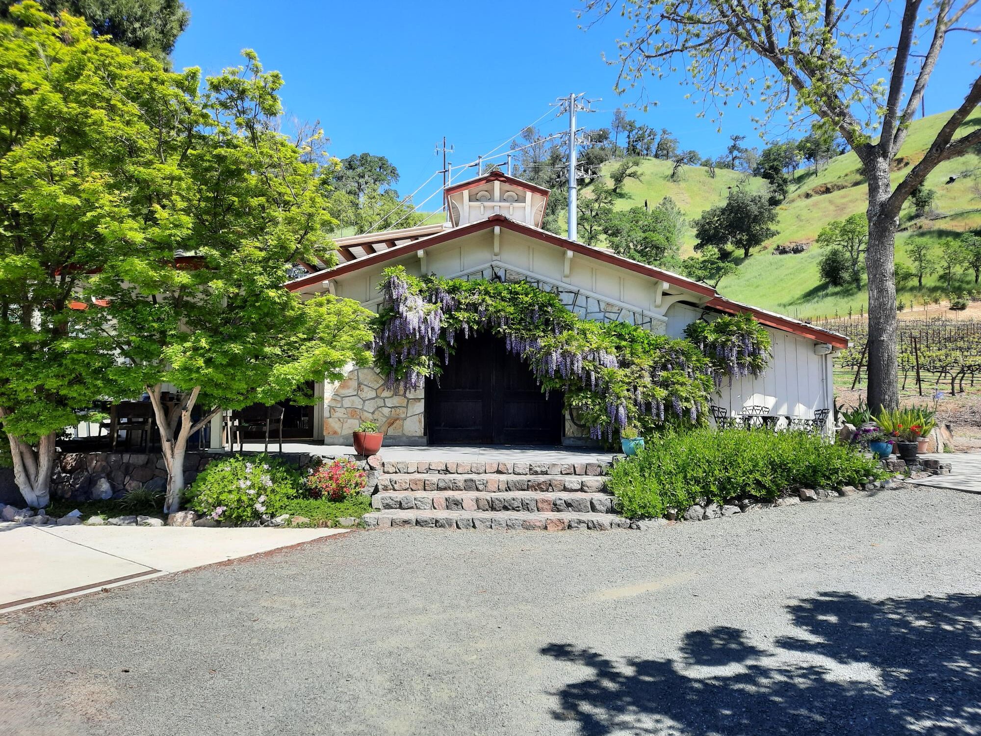 Laura Michael Wines