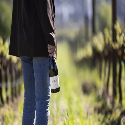 2023 Pinot Noir Release Event