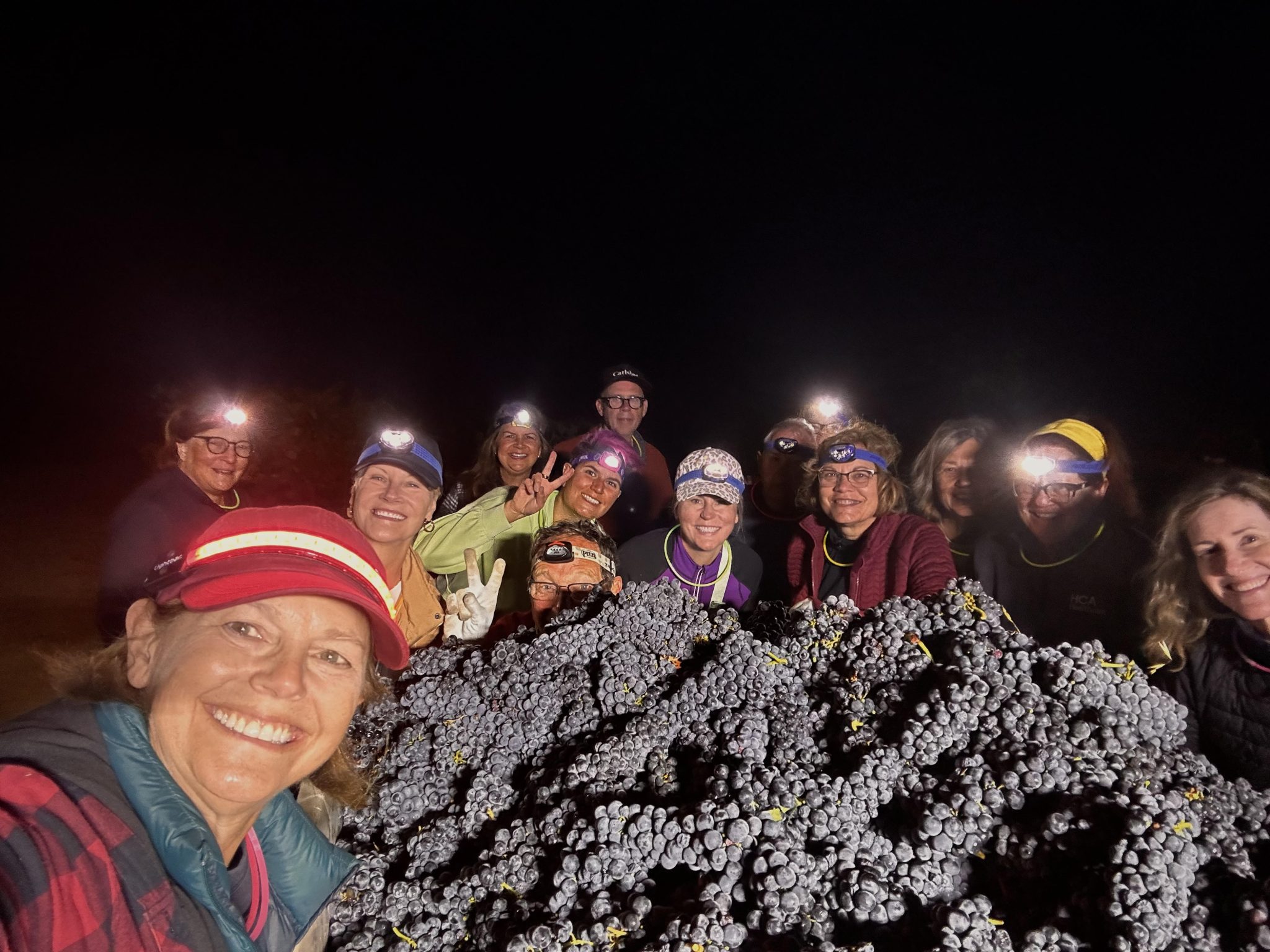 Capo Creek Winery Harvest Celebration