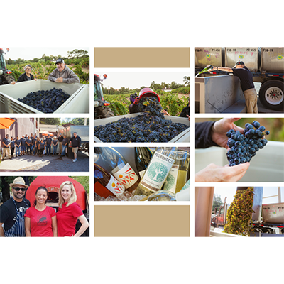 Harvest Celebration
