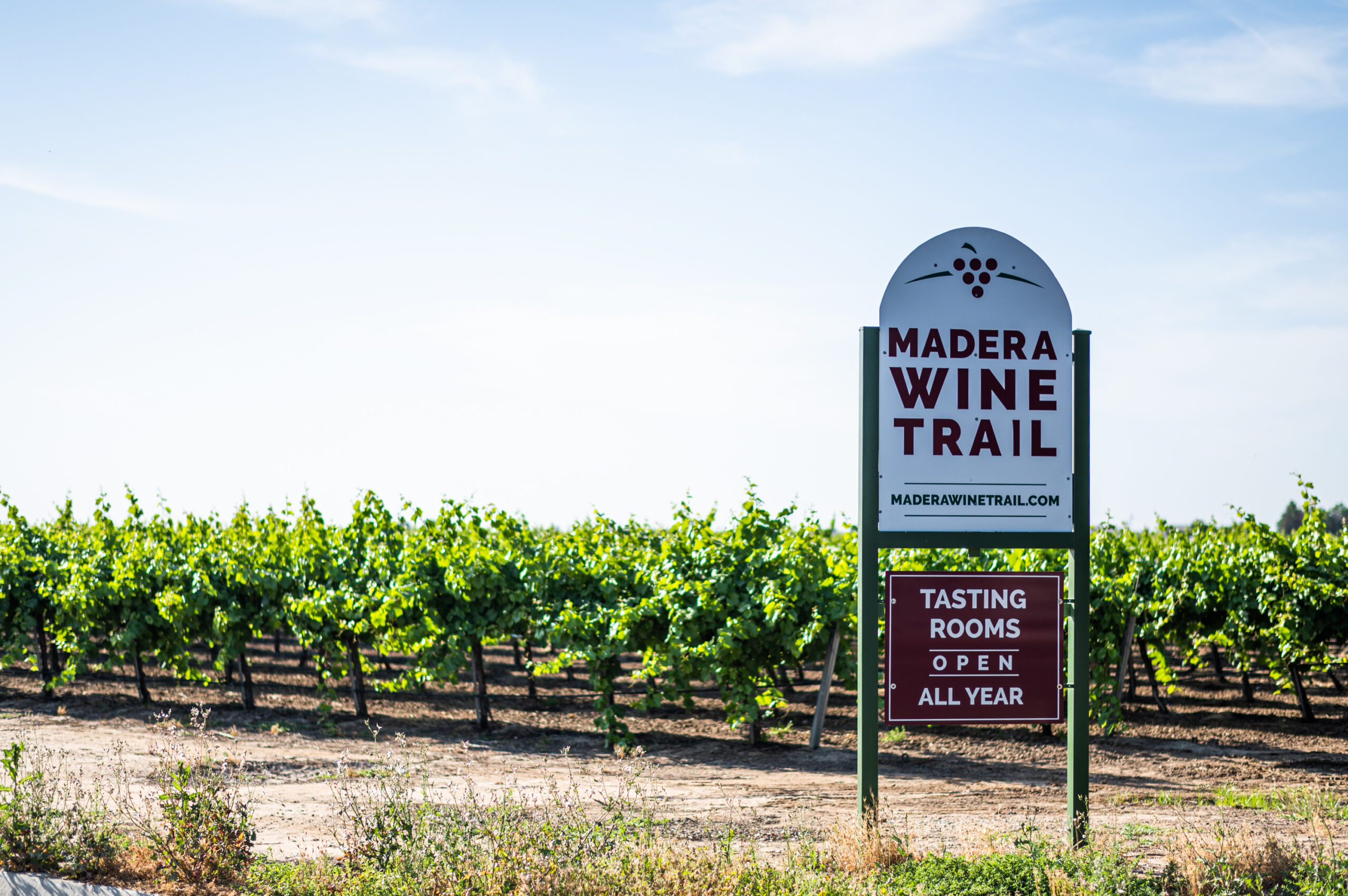 madera wine