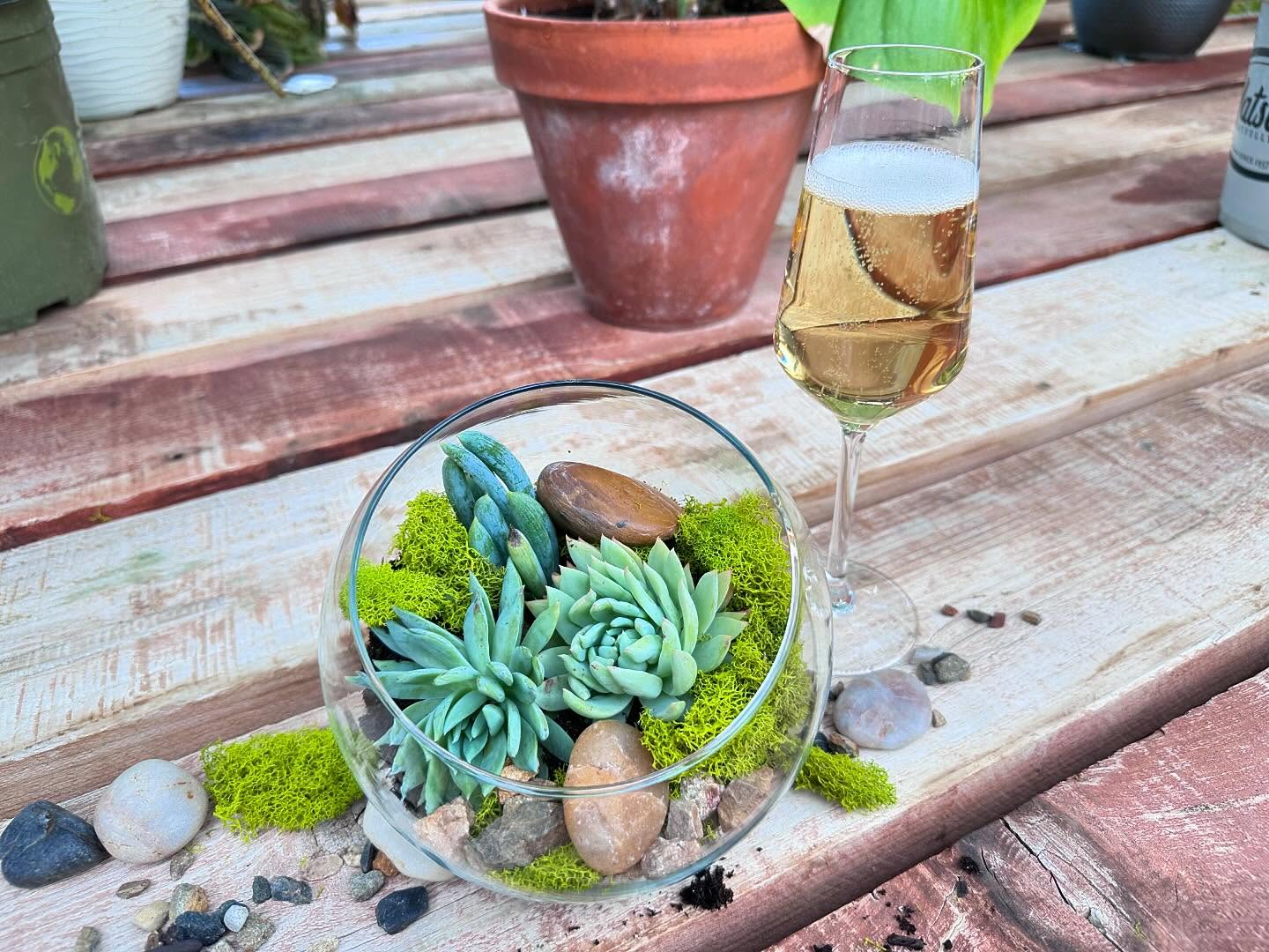 Korbel Sparkling Terrarium Workshop