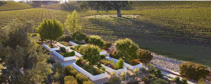 Edible Garden Tour and Tea Blending