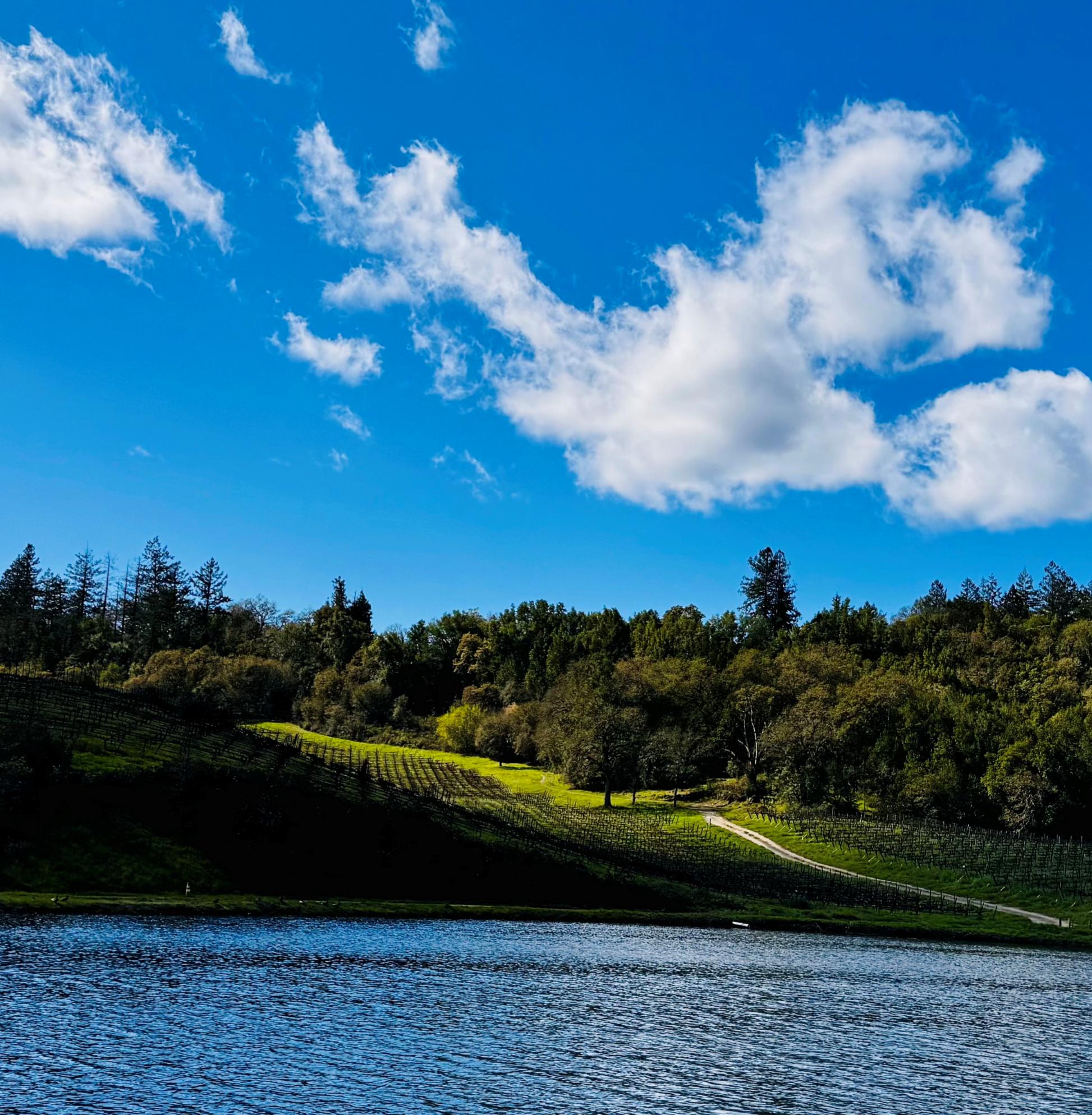 Earth Day Oysters & Salmon Habitat Eco Tour