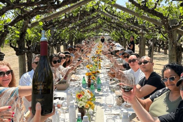 Lunch in the Vineyard at BV
