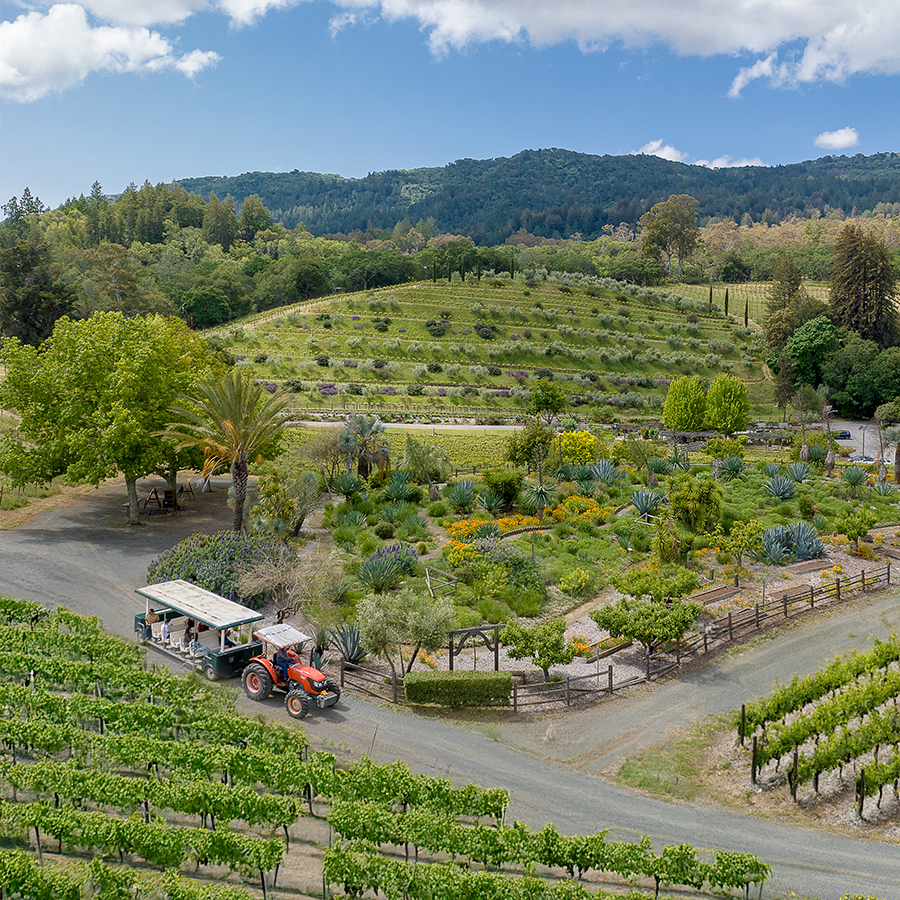 Benziger’s Biodynamic Tractor Tour