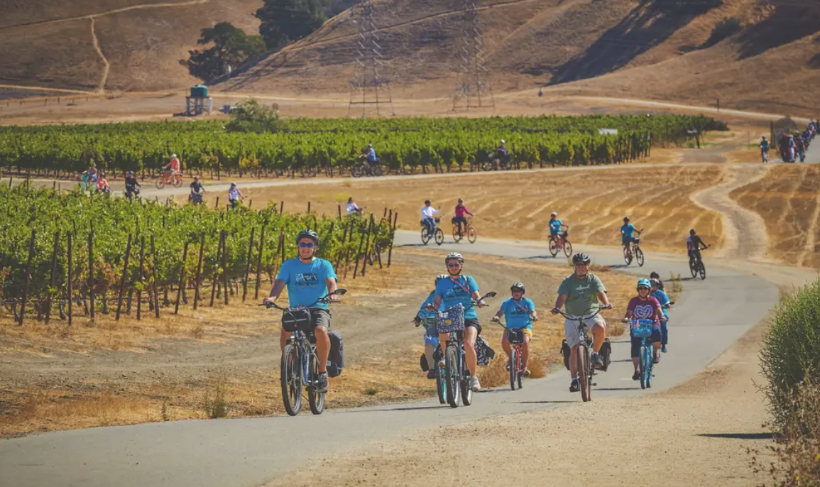 Concannon Estate Blocks E-Bike Tour