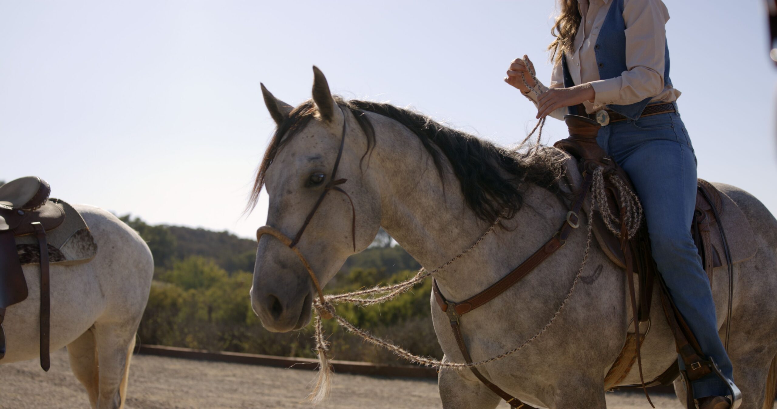 Presqu’ile Estate Horseback Riding + Tasting