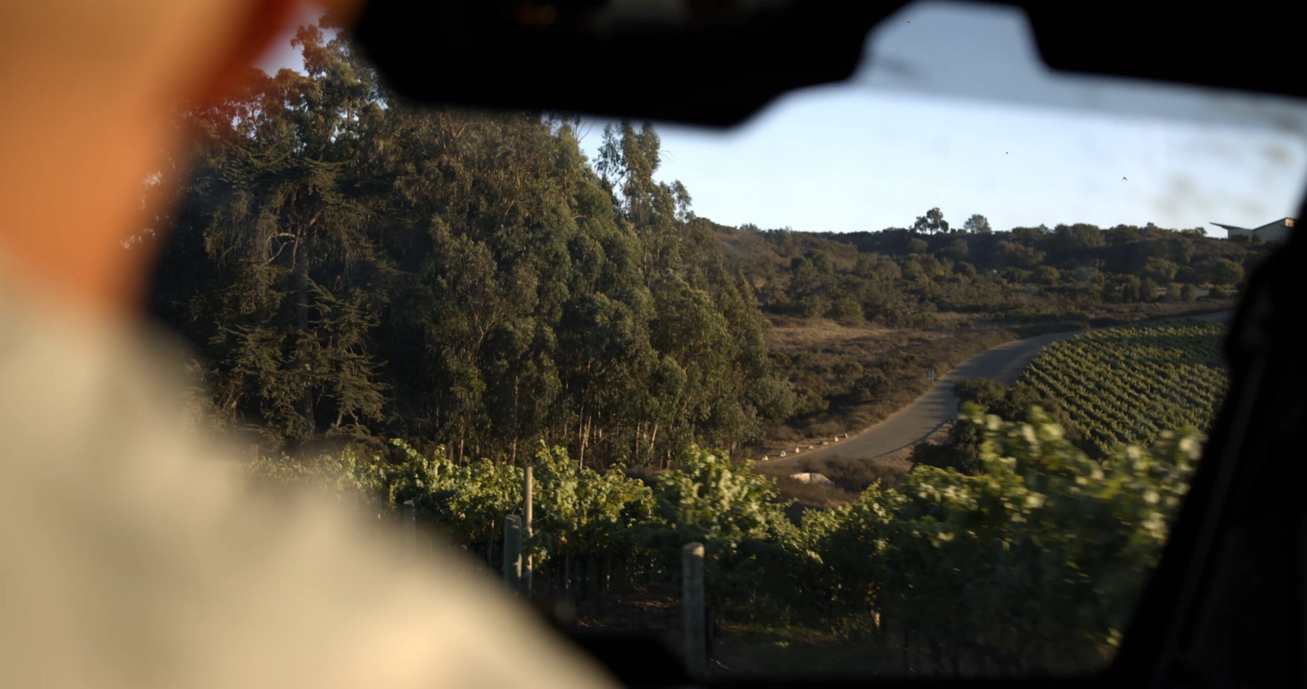 Private Polaris Tour & Lunch at Presqu’ile Winery