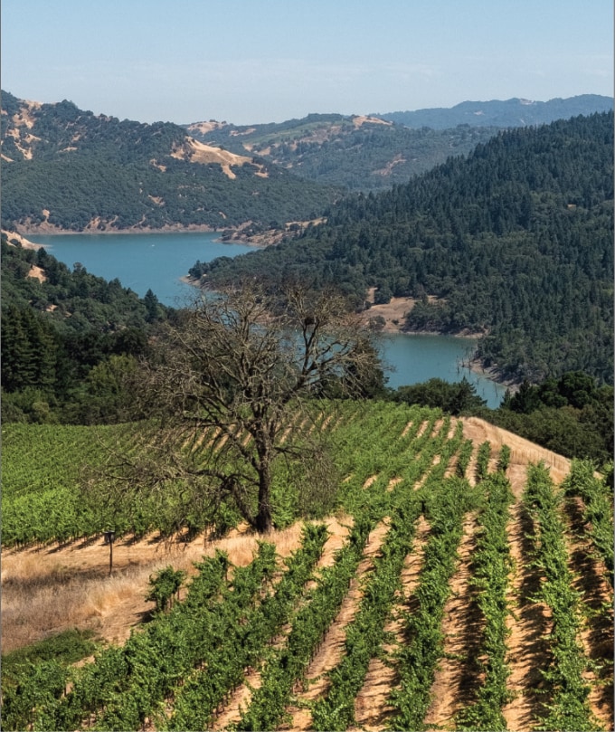 Rodney Strong’s Decadence Party – A Taste of Temptation