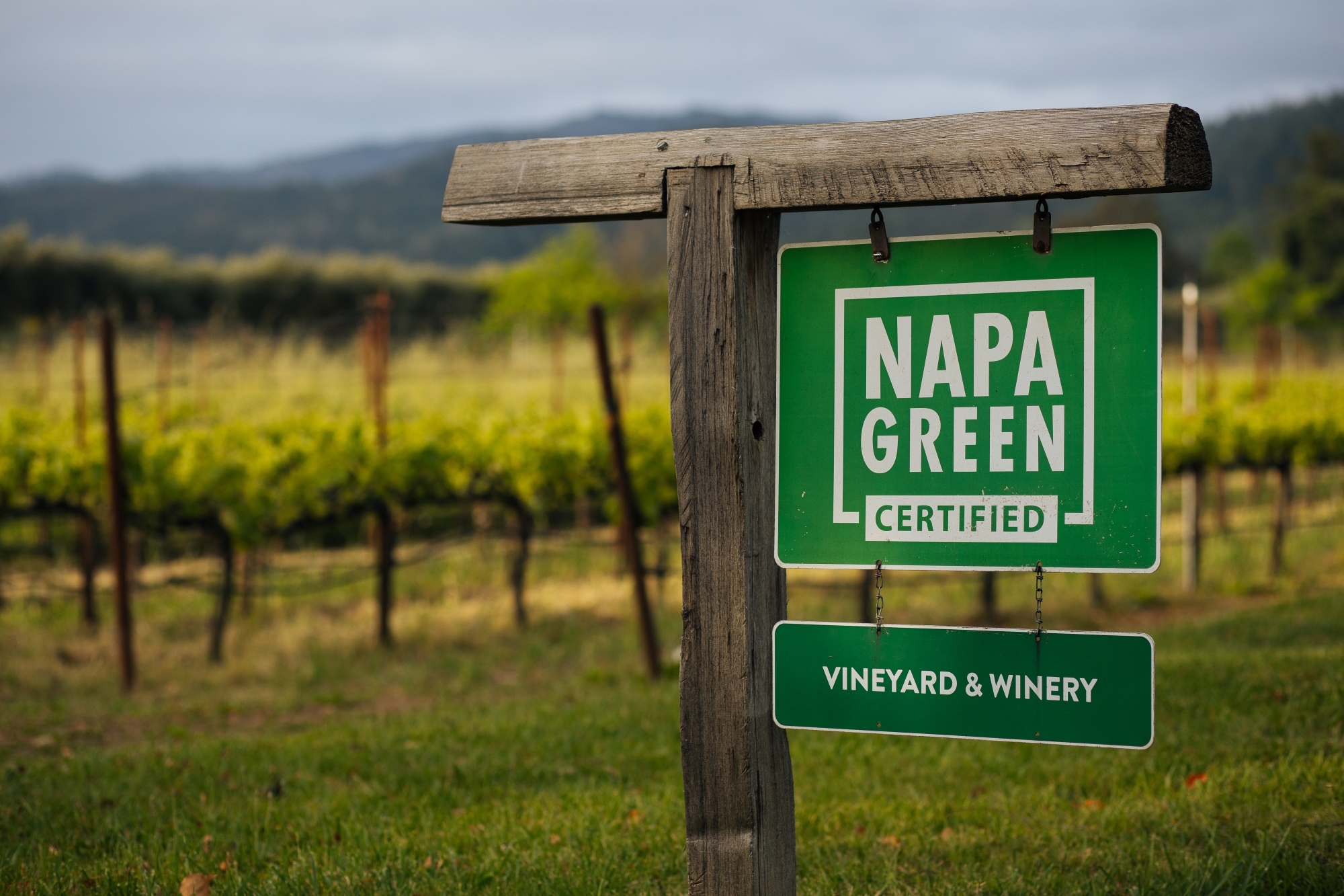 Step Into The Cellar with St. Supéry for Down to Earth Month