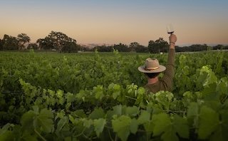 Taste the Estate Wines from the Austin Hope Estate Vineyard