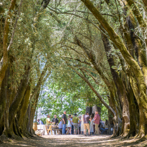 Set Sail Spring Release Party at Schramsberg