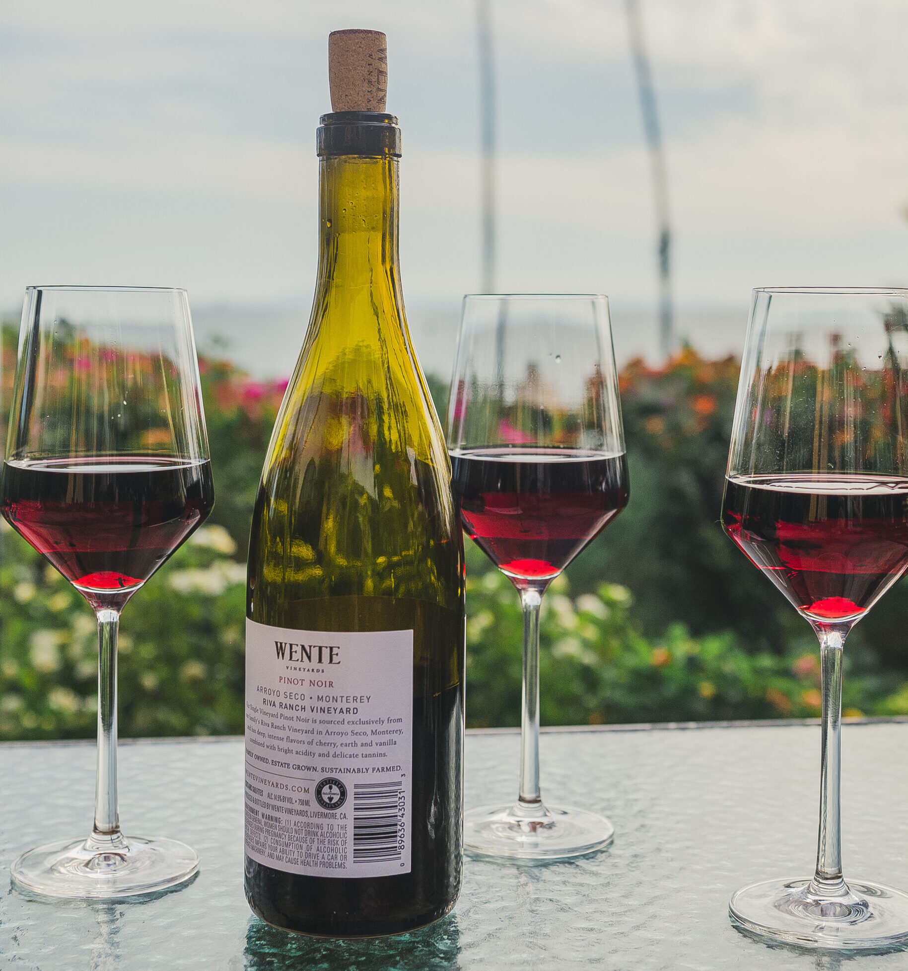 bottle of wine with wine glasses