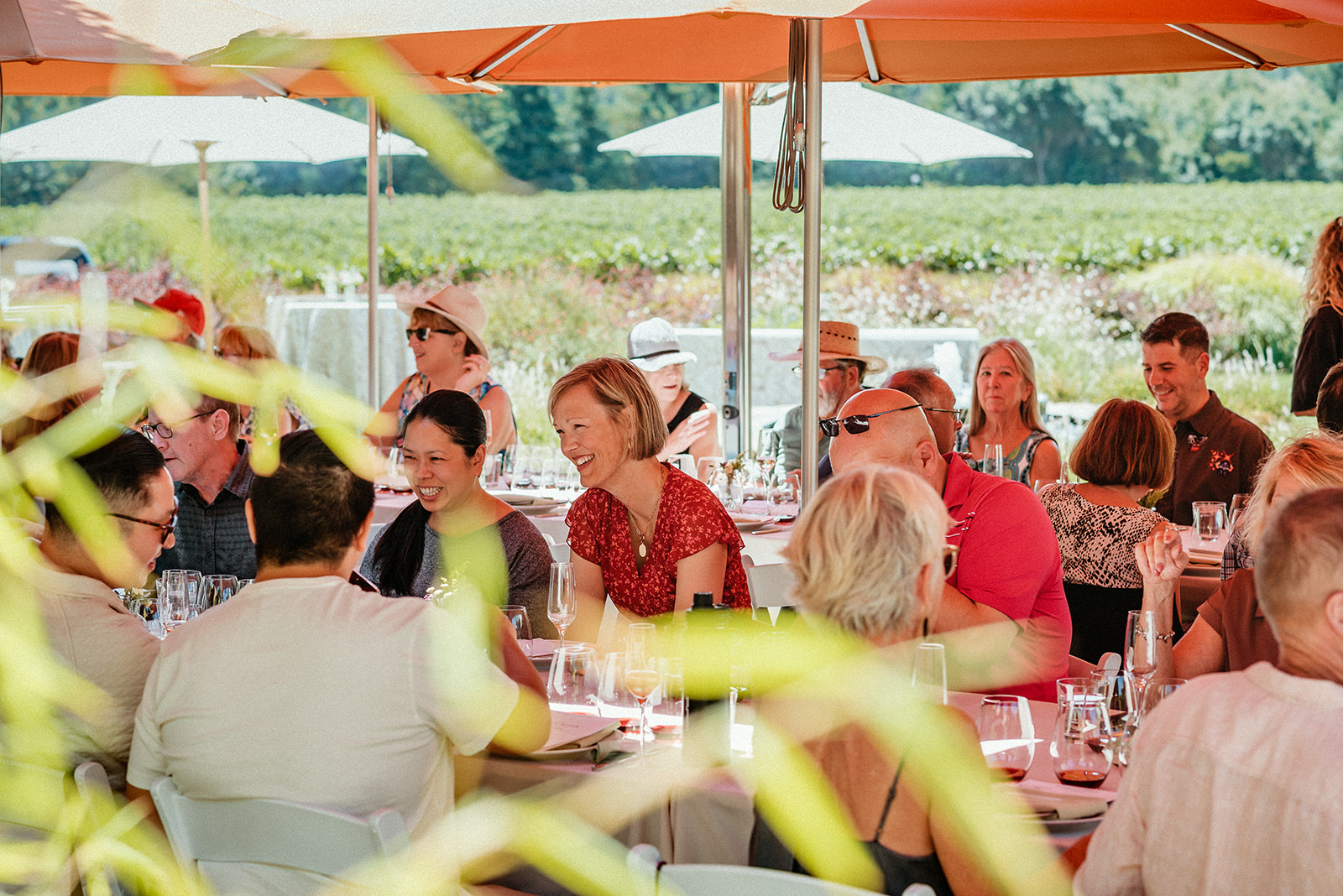 Bubbles and Brunch at Goldeneye Winery