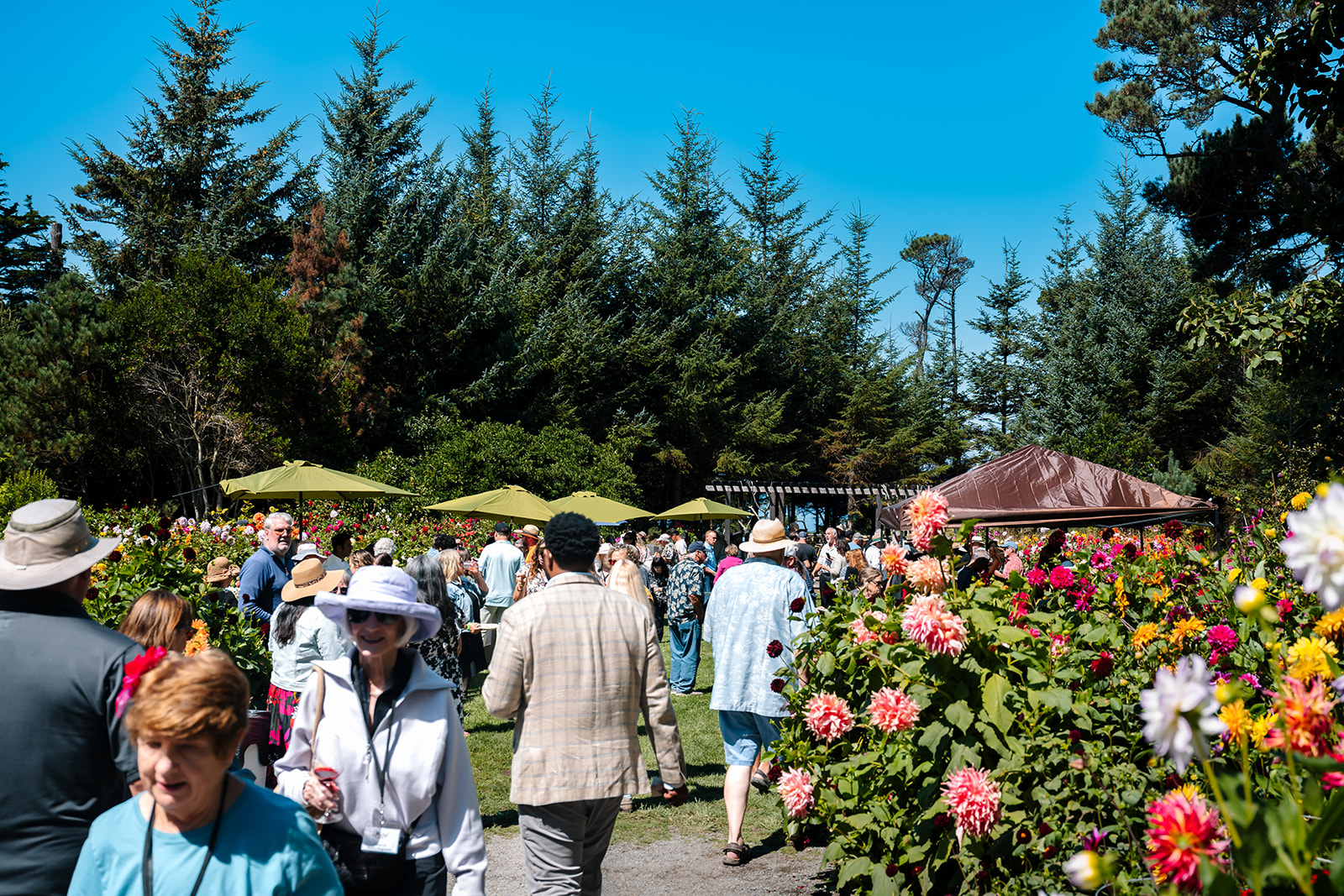 Winesong 2026: A Two-Day Coastal Wine Celebration on the Mendocino Coast