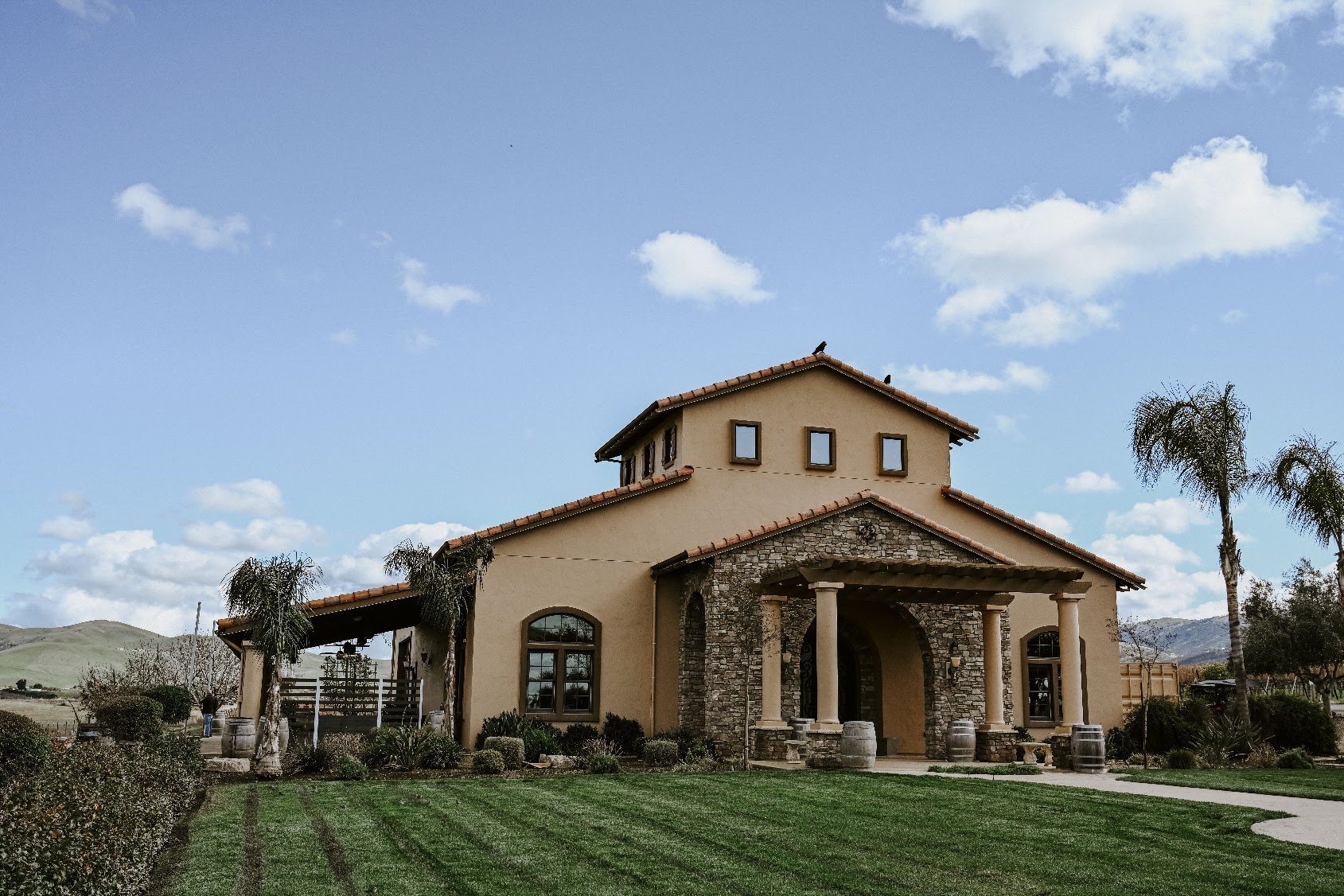 TASTE: Cattle, Cabernet & Country at McGrail Vineyards