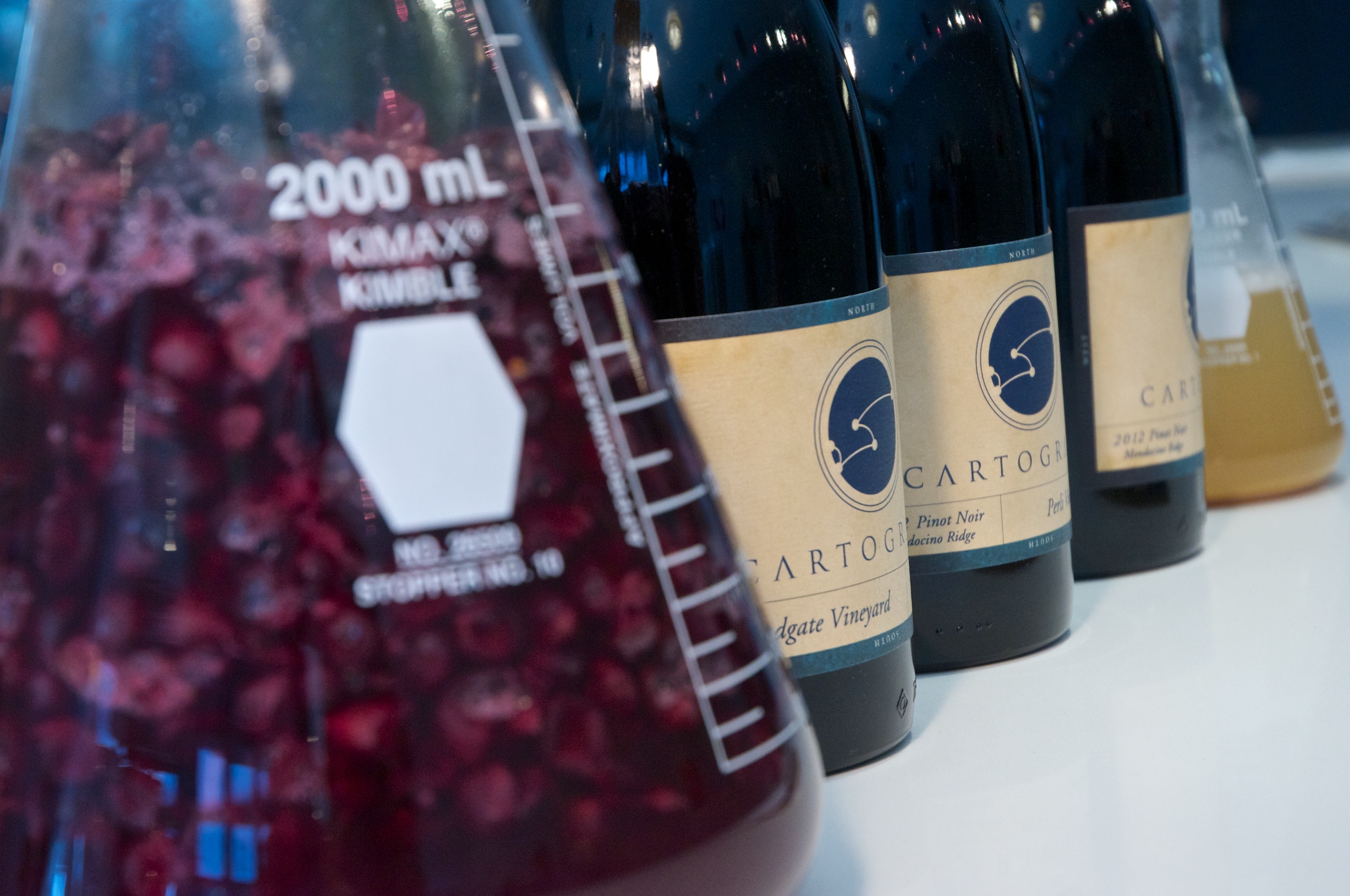 Harvest Tastings