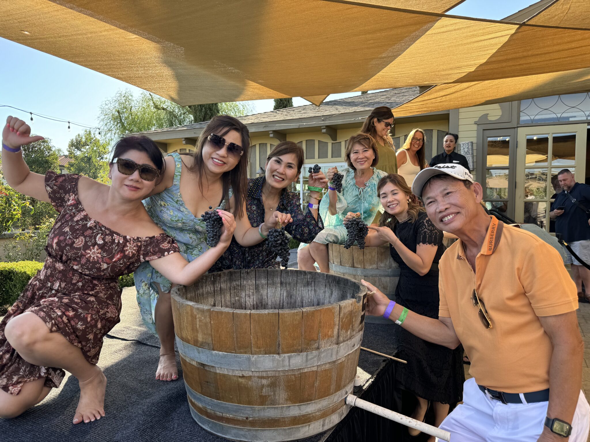 Ponte Winery 24th Annual Grape Stomp