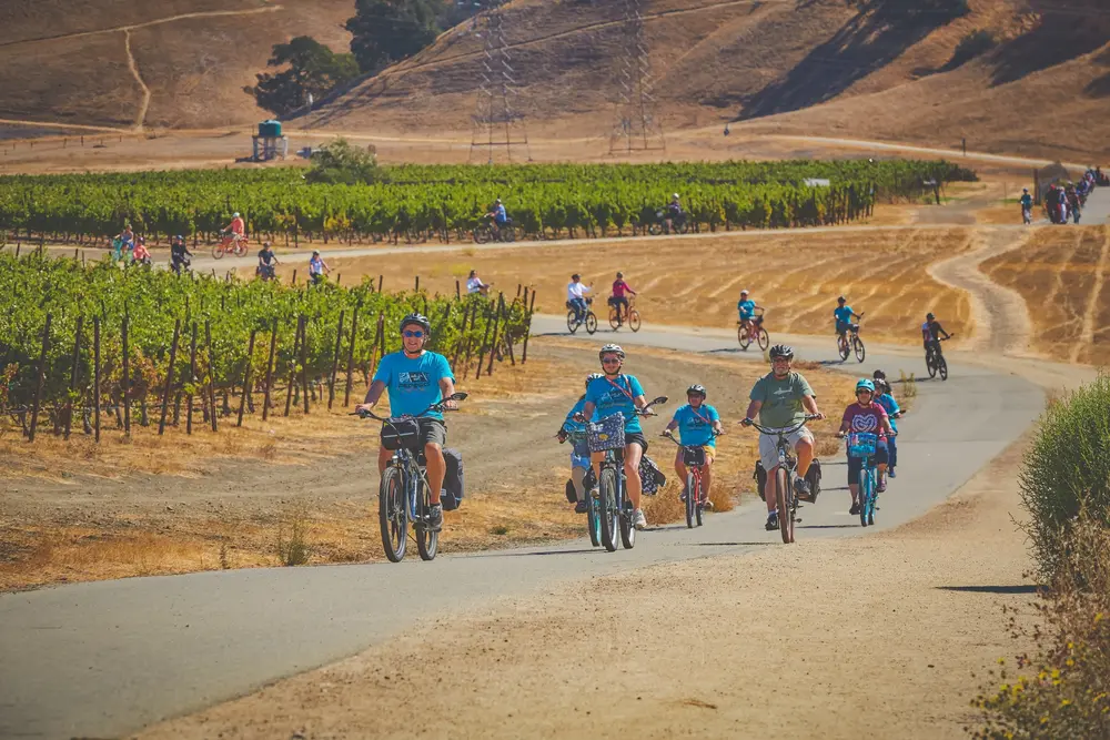 E-Bike Vineyard Tour at Concannon Vineyard 