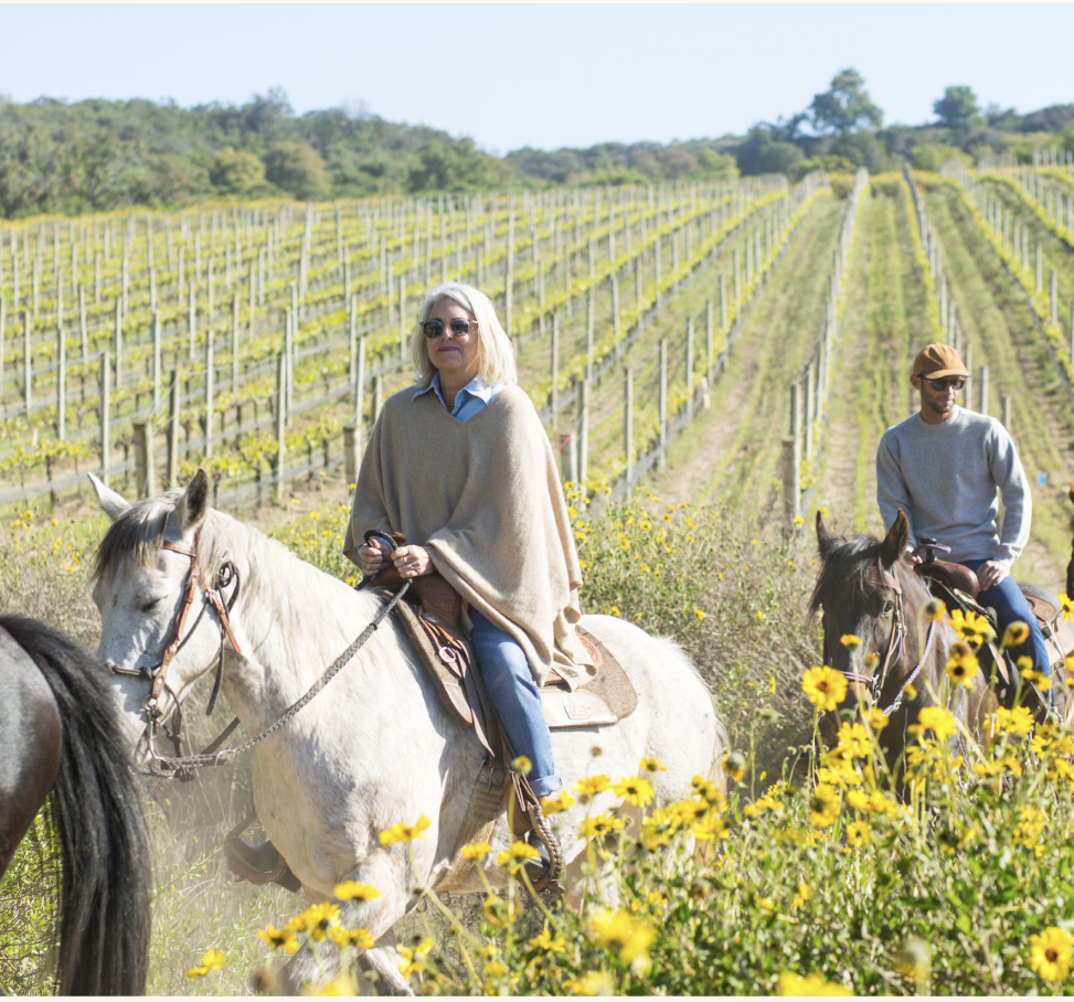 Horseback Adventure at Presqu’ile